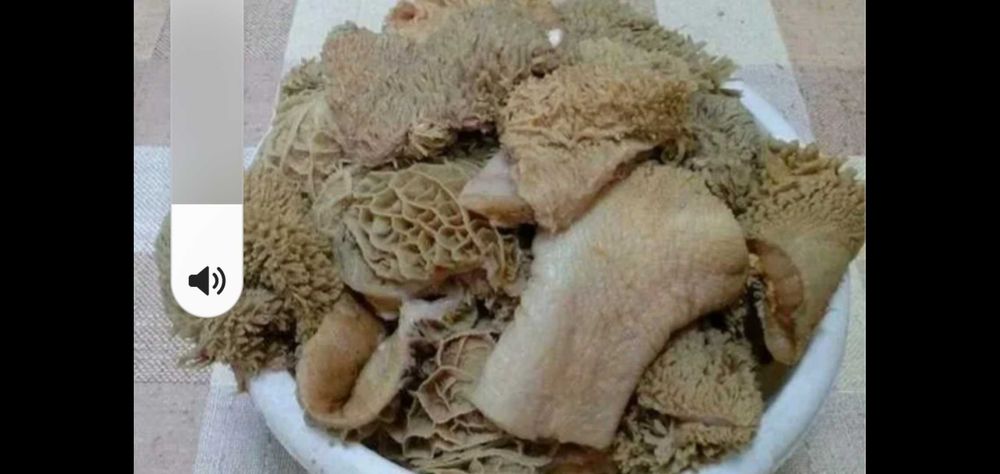 Говяжий сбой для собак