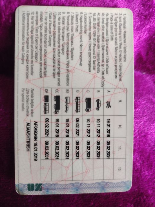 Profissional Xaydovchi