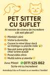 Pet sitter pitesti