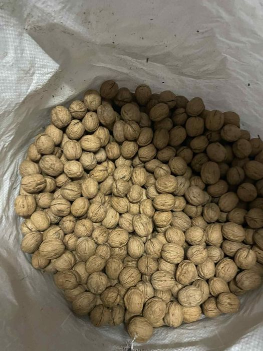 Продавам орехи и орехови ядки