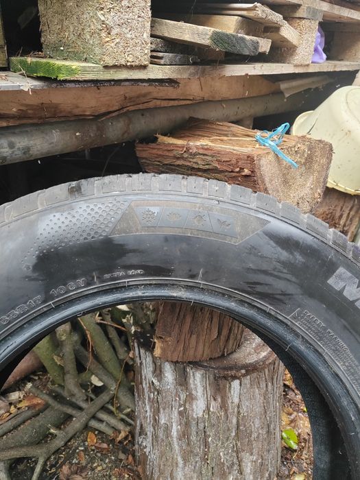 Cauciucuri 225 65 17 good year și minerva