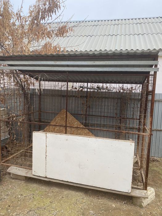 Вольер для собаки
