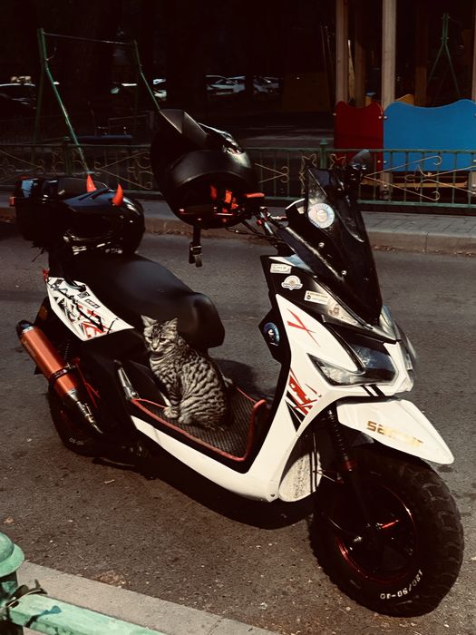 Samurai 150 на учете, торг есть