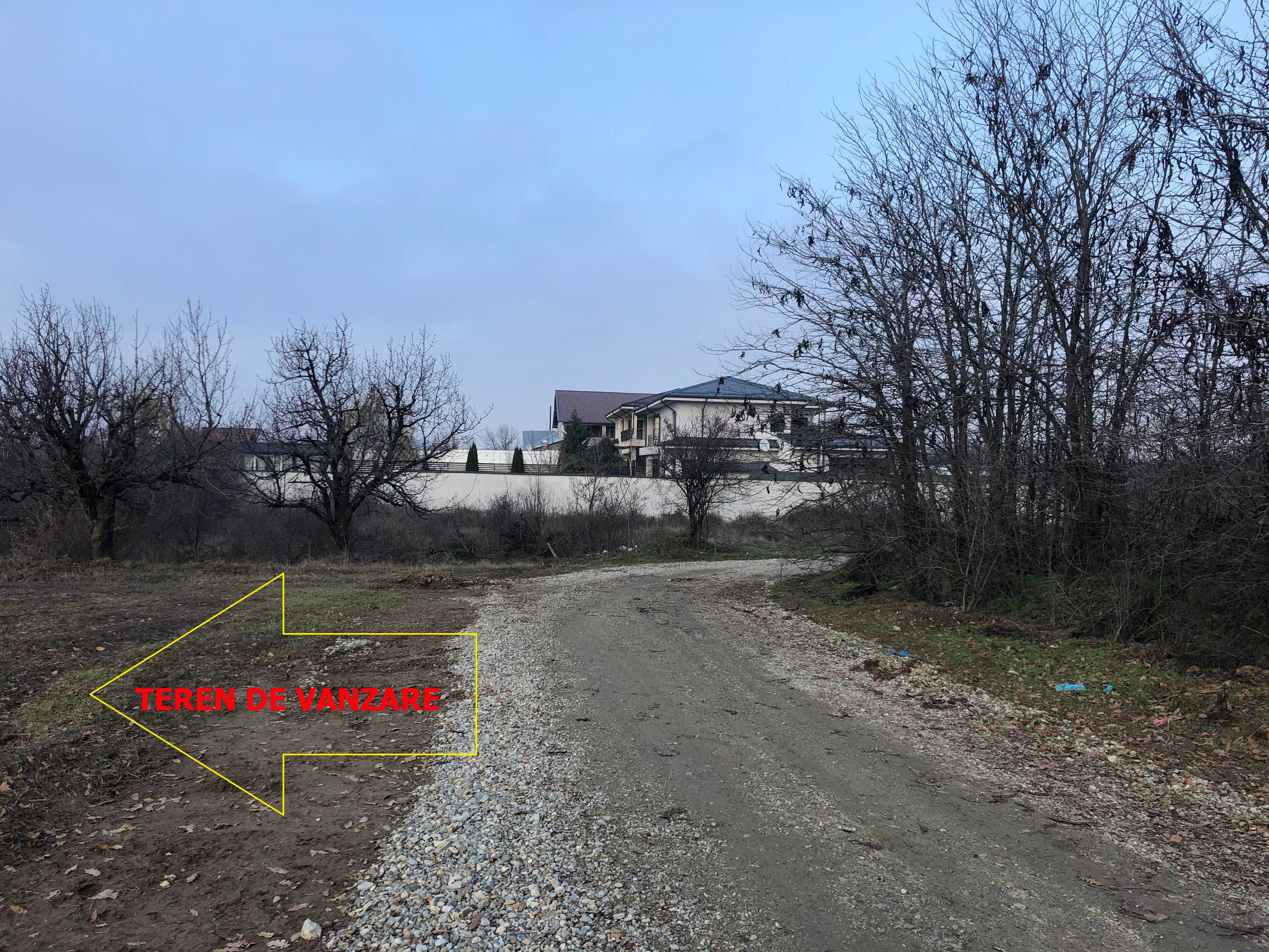 2000 mp Craiova-Ford-Carcea-Cosoveni-Padure-Intravilan