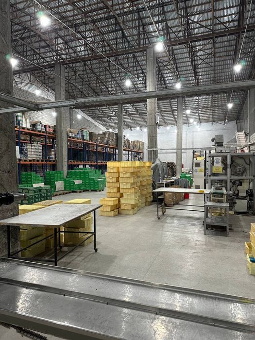 Готовый завод (бизнес) по производству туалетного мыла