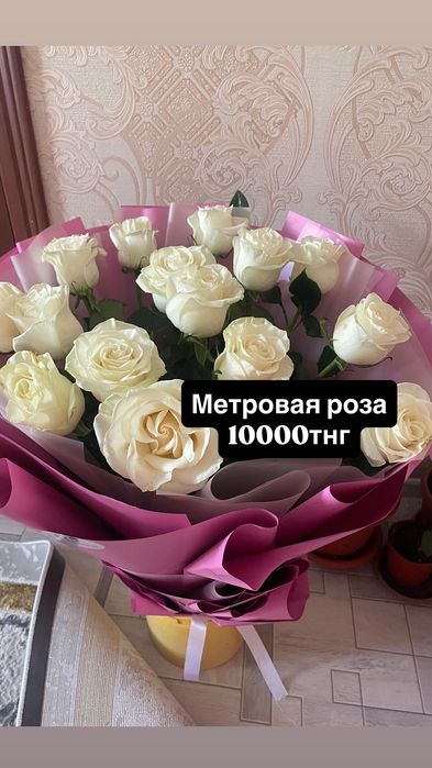 Цветы, гүл, роза, розы
