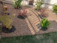 Plante ornamentale
