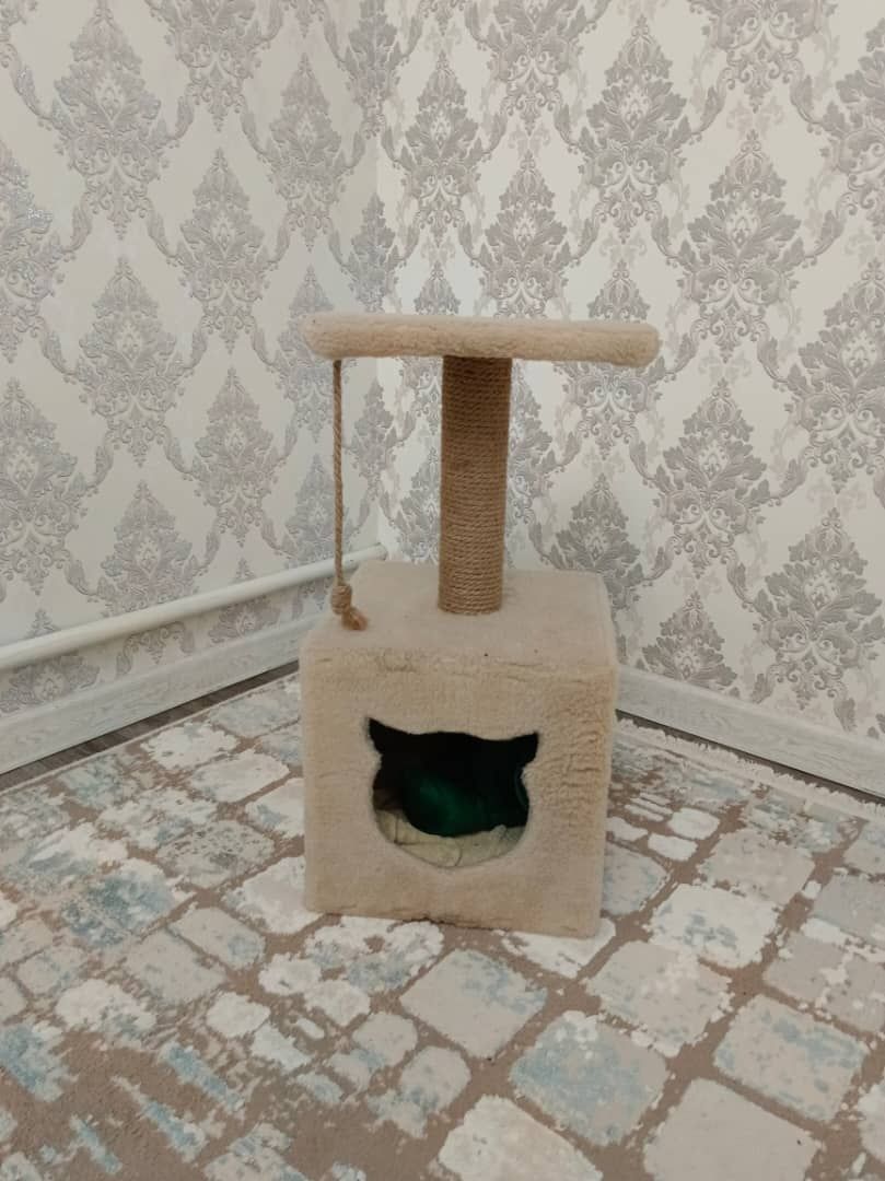 Срочно продам домик для кошек