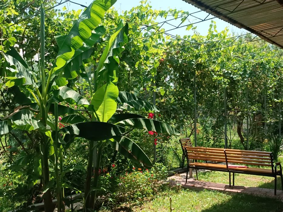 Tayyor uy sotiladi 5.5 sotok