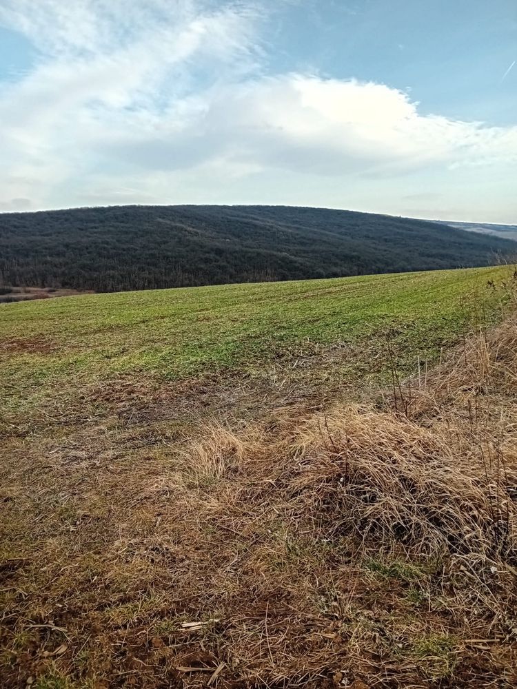 Teren pentru cabana si livada