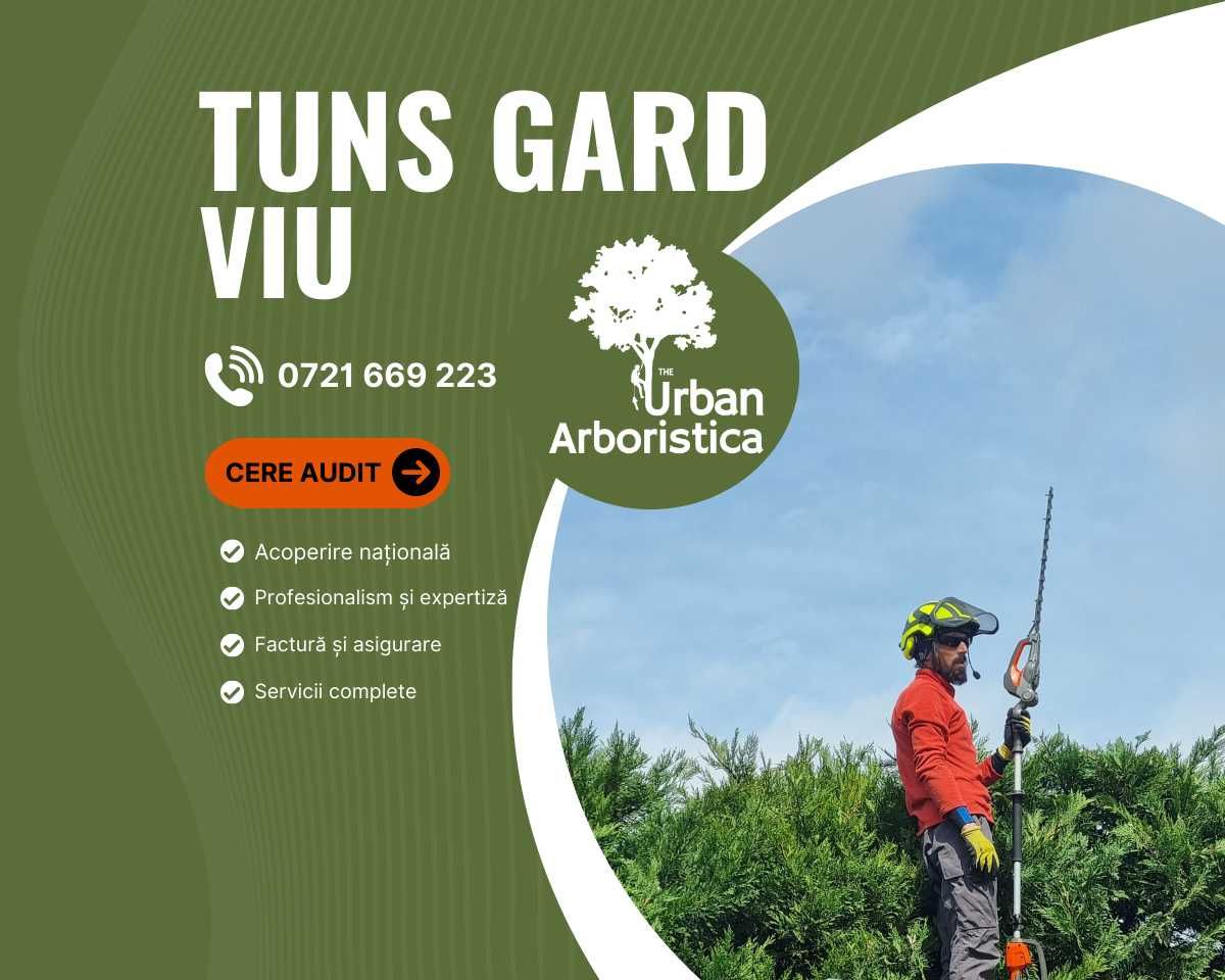 Tuns Gard Viu Tuia Leylandii La Orice Înălțime - Cluj și Împrejurimi