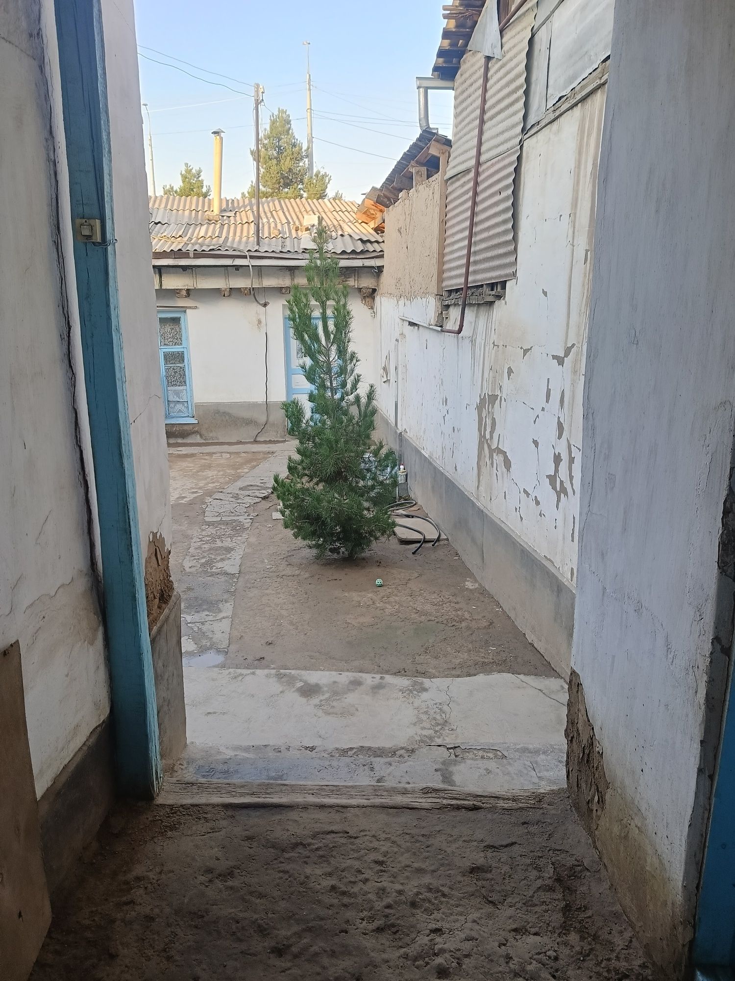 1.6 sotix 4xona Olmazor Sagbonda uy hovli sotiladi