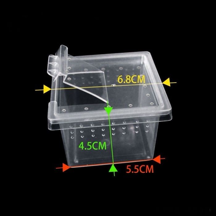 Мини-террариум (бокс) для насекомых, пауков, скорпионов