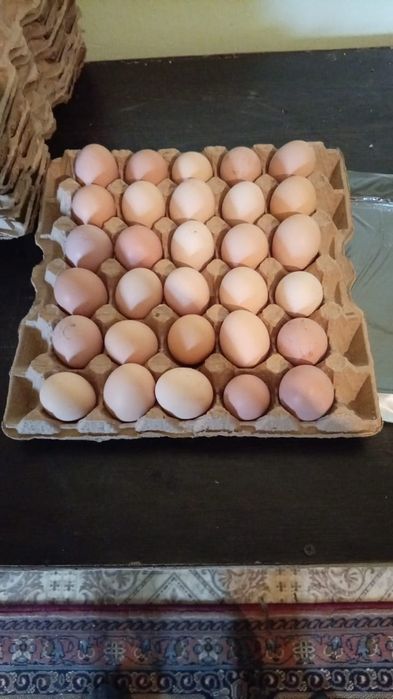 Кол тауыктын жумырткасы бар.