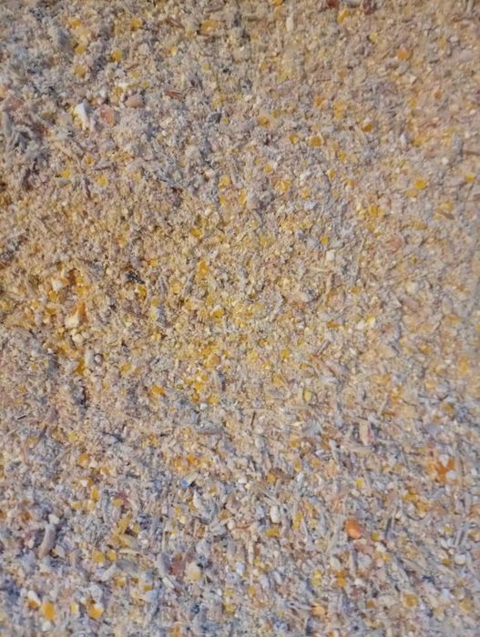 Uruială de vânzare