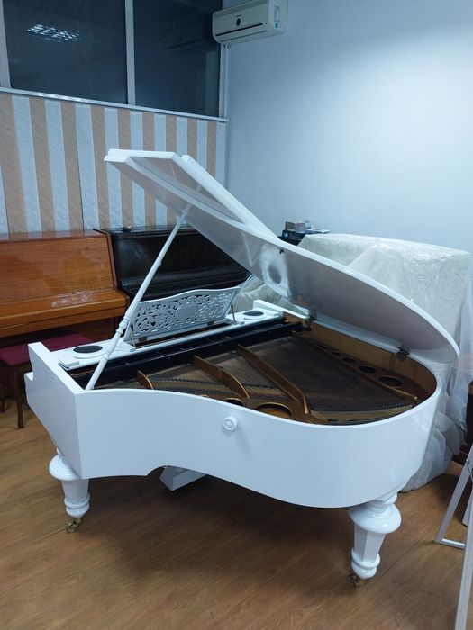 Pian Karl Hamburger(transport gratuit, garanție)