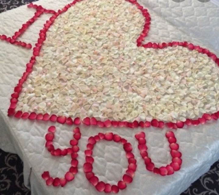 Живые лепестки роз