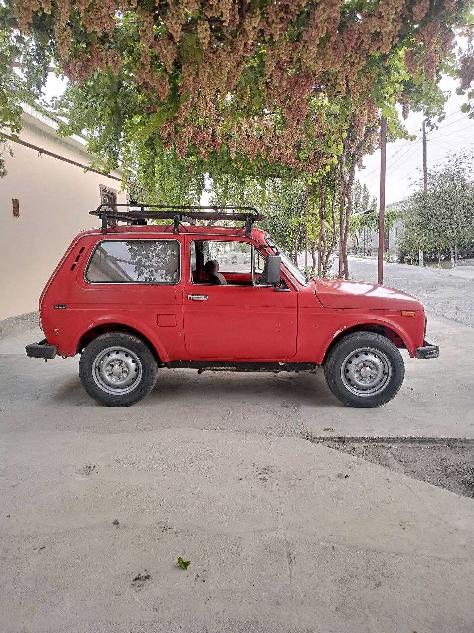Niva    sotiladi