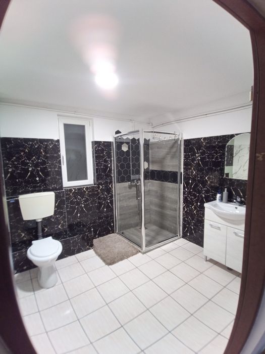 Lacul Surduc, casă/ cabana pe mal de închiriat/jacuzzi revelion ocupat