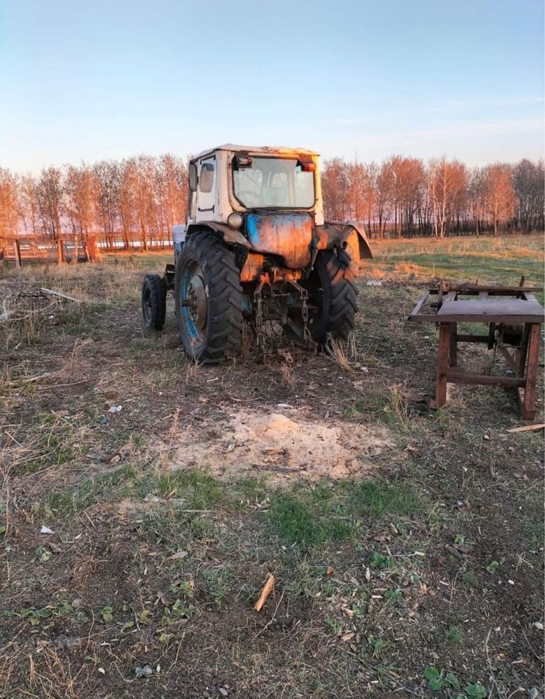 Продам 2 трактора МТЗ 50 МТЗ 80