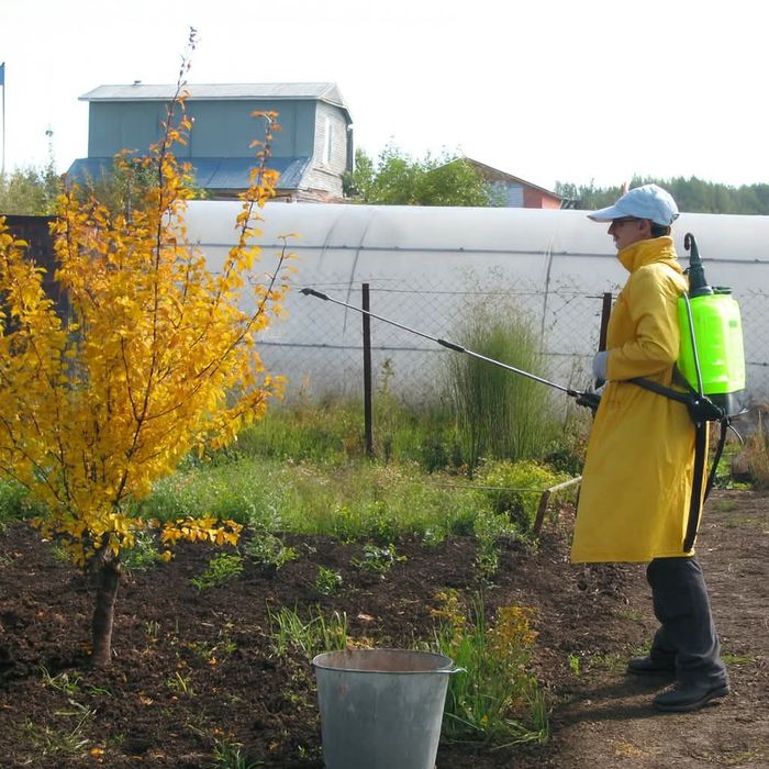 Bogʻbon Богбон Садовник