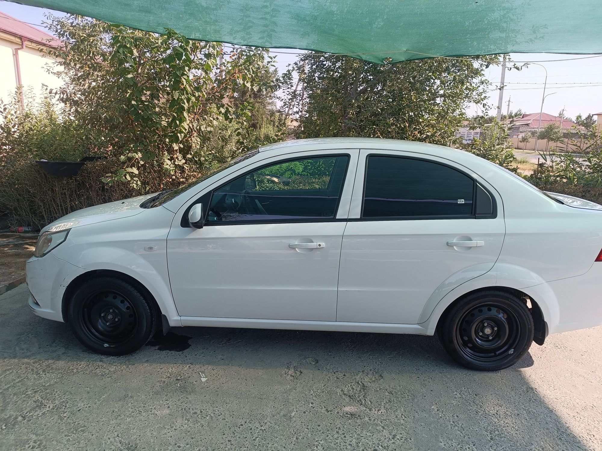 nexia R3 yili 2019
