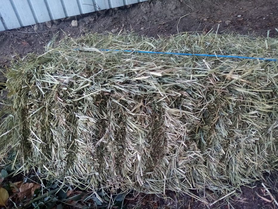 Vând baloti de de fân