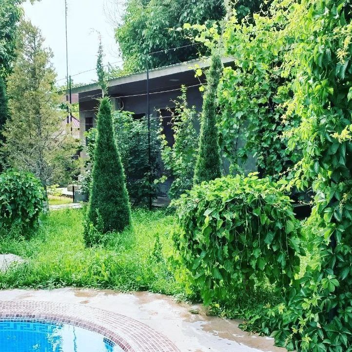Dacha oilaviy Asad dacha