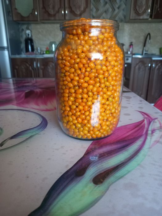 Продам облепиху домашнюю