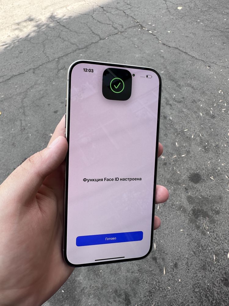 Iphone 15 pro max | 256 gb | 100%