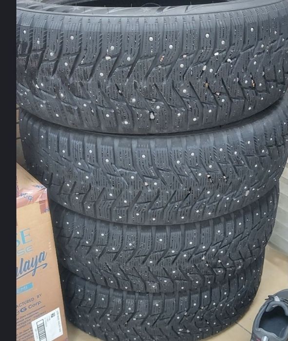 Продам шины зимние шипованные  недорого