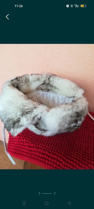 Căciulă nouă Brekka mărimea 58