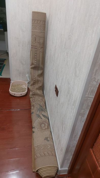 Гилам холати яхши 3.5×5 метр