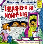 Детски световни приказки: Мечетата Беранстийн