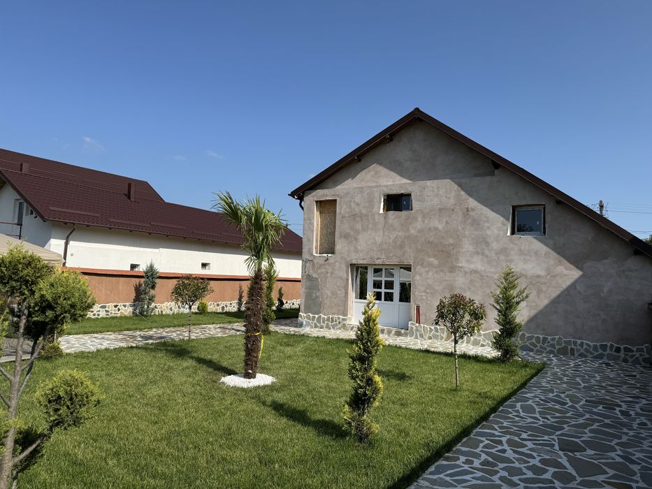 Vand gazon rulo verde