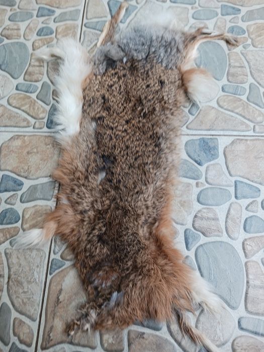 Красиви изделия от кост и кожа от див  заек