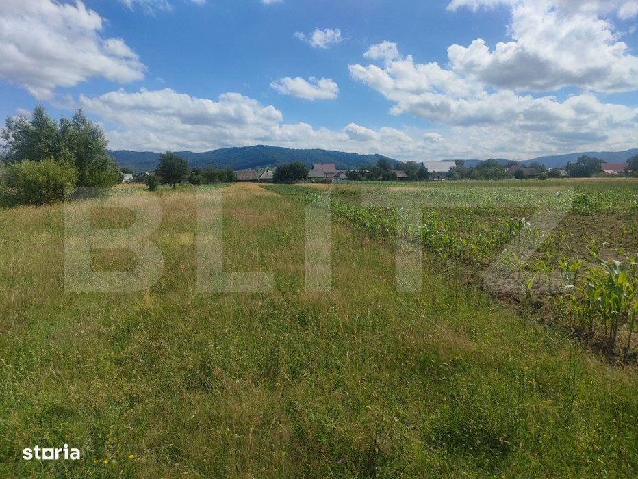 Teren intravilan la sosea, 6400 mp, Vicov de Sus