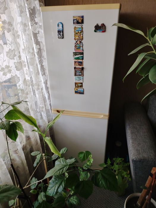 Хладилник и комбинирана печка на ток и газ за готвене.