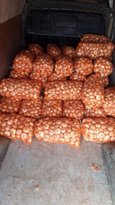 Vand Ceapa si stufat din ceapa