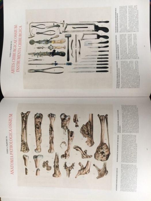 Atlas of Human Anatomy and Surgery / Medicina / Anatomie / Chirurgie