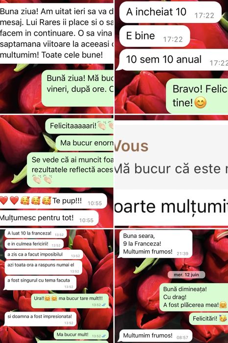 Meditatii franceza/romana DELF, BAC, EN