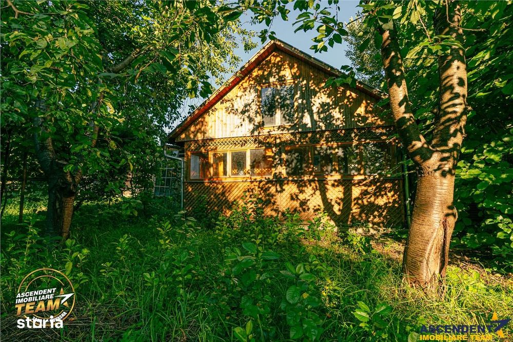 FILM! Casuta cu peste 800mp teren, areal estimabil, Lenin, Sfantu Gheo