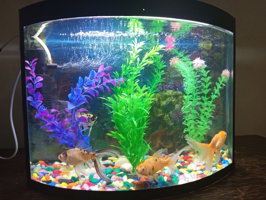 Аквариум 40 литр