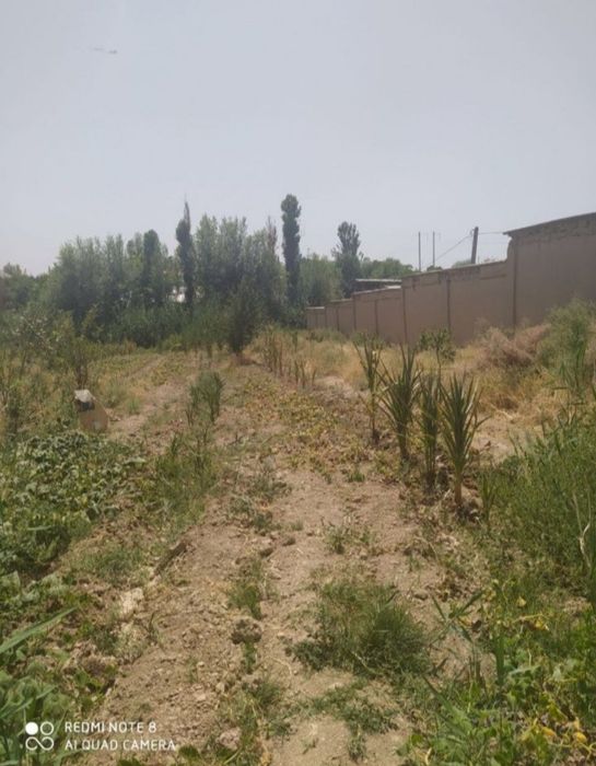 Nazabekda yer sotiladi