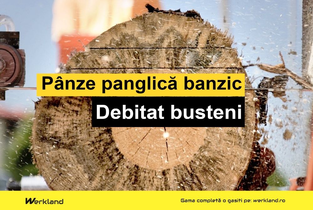 Panze panglica banzic busteni 5500x40x1.10x22.22 | Made in Germany