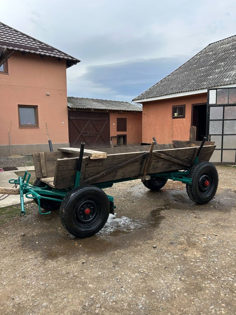 Căruță de Satu Mare