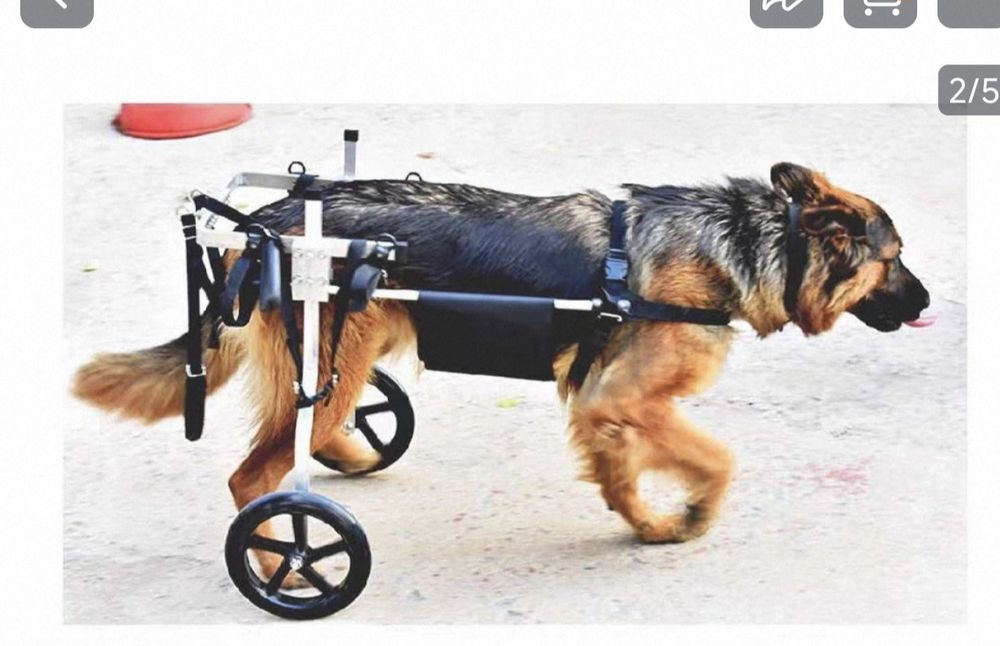 Продам коляску для задних лап собак