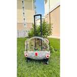 Astronaut Pet, gri, 45x46x25 cm. Troller transport animale