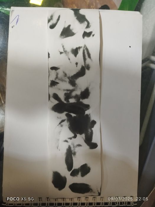 Sotiladi Surat dunyoda 1 da keilshb bermiz