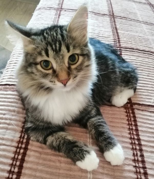 Малыш Тимоша  в ответственные руки!!